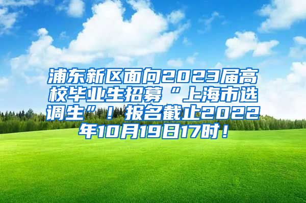 浦东新区面向2023届高校毕业生招募“上海市选调生”！报名截止2022年10月19日17时！