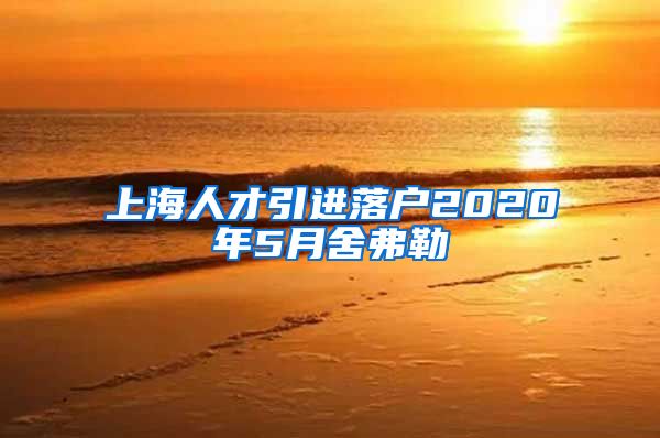 上海人才引进落户2020年5月舍弗勒