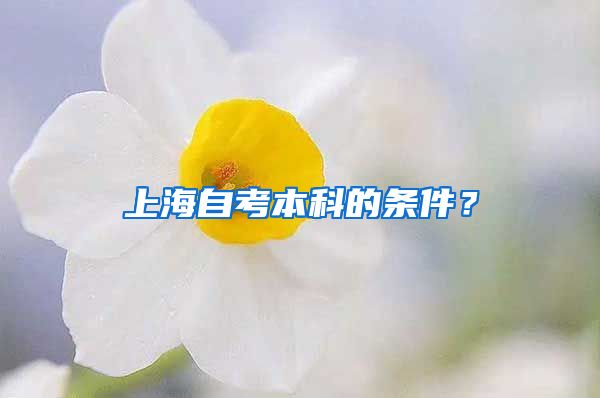 上海自考本科的条件？