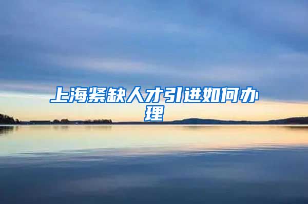 上海紧缺人才引进如何办理