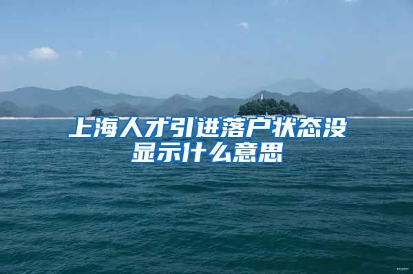 上海人才引进落户状态没显示什么意思