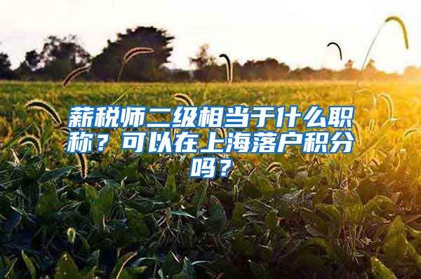 薪税师二级相当于什么职称？可以在上海落户积分吗？