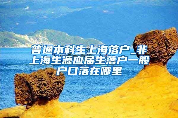 普通本科生上海落户_非上海生源应届生落户一般户口落在哪里