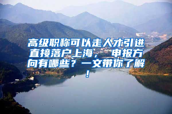 高级职称可以走人才引进直接落户上海， 申报方向有哪些？一文带你了解！