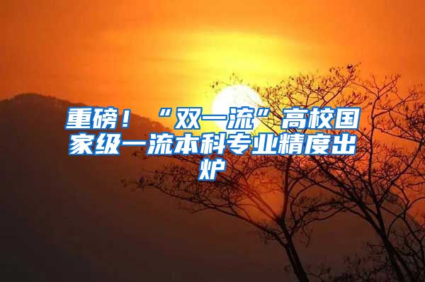 重磅！“双一流”高校国家级一流本科专业精度出炉