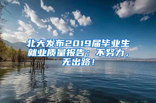 北大发布2019届毕业生就业质量报告：不努力，无出路！