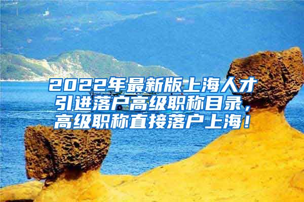 2022年最新版上海人才引进落户高级职称目录，高级职称直接落户上海！