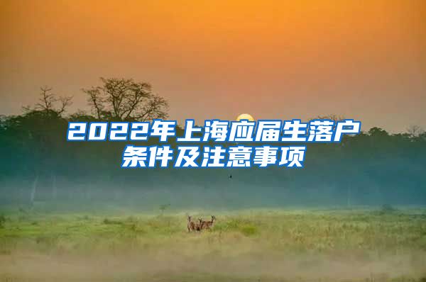 2022年上海应届生落户条件及注意事项