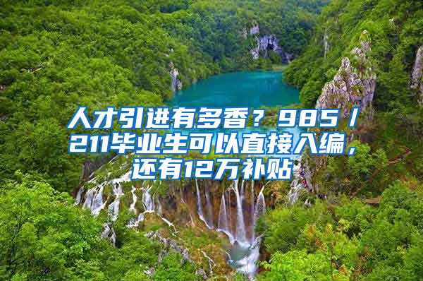 人才引进有多香？985／211毕业生可以直接入编，还有12万补贴