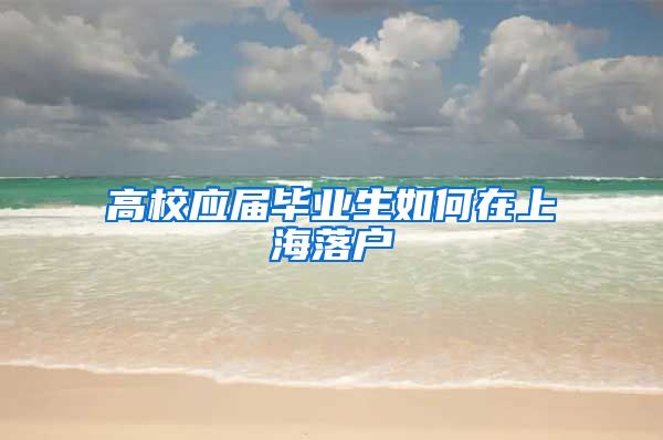 高校应届毕业生如何在上海落户