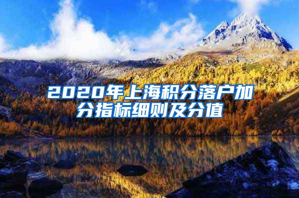 2020年上海积分落户加分指标细则及分值