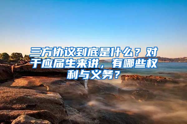 三方协议到底是什么？对于应届生来讲，有哪些权利与义务？