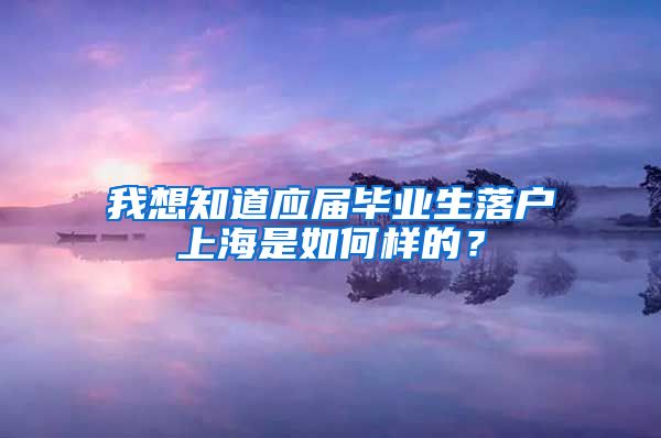 我想知道应届毕业生落户上海是如何样的？