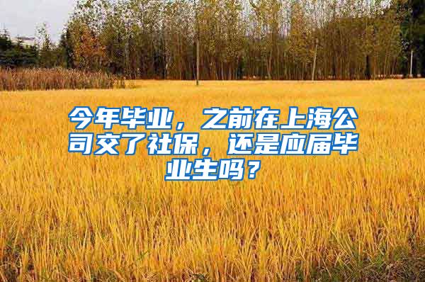 今年毕业，之前在上海公司交了社保，还是应届毕业生吗？