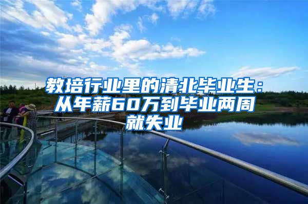 教培行业里的清北毕业生：从年薪60万到毕业两周就失业