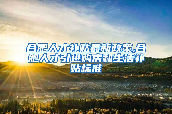 合肥人才补贴最新政策,合肥人才引进购房和生活补贴标准