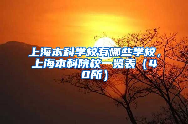 上海本科学校有哪些学校，上海本科院校一览表（40所）