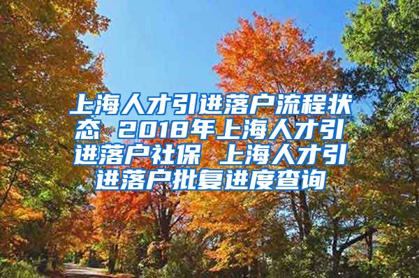 上海人才引进落户流程状态 2018年上海人才引进落户社保 上海人才引进落户批复进度查询