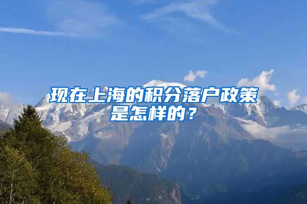 现在上海的积分落户政策是怎样的？