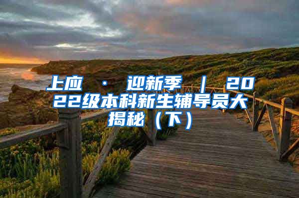 上应 · 迎新季 ｜ 2022级本科新生辅导员大揭秘（下）