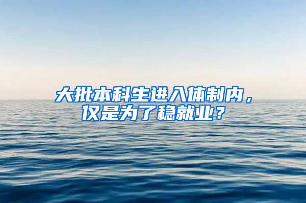 大批本科生进入体制内，仅是为了稳就业？