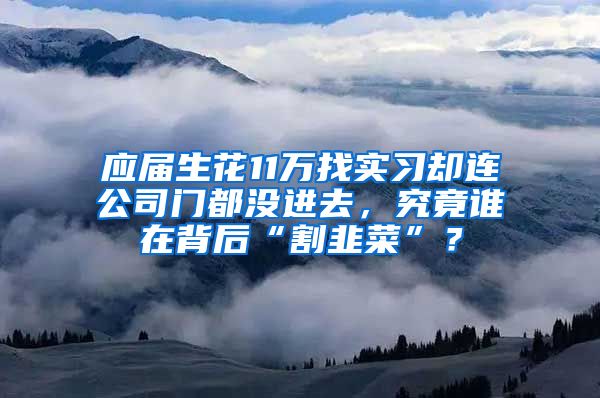 应届生花11万找实习却连公司门都没进去，究竟谁在背后“割韭菜”？