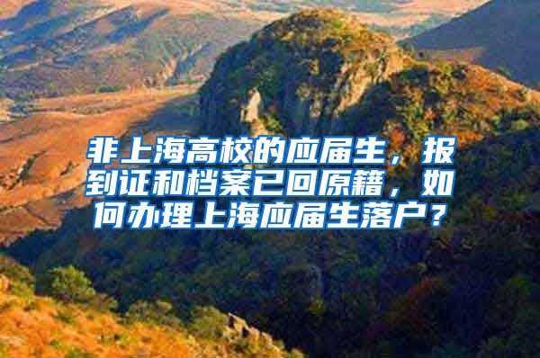 非上海高校的应届生，报到证和档案已回原籍，如何办理上海应届生落户？