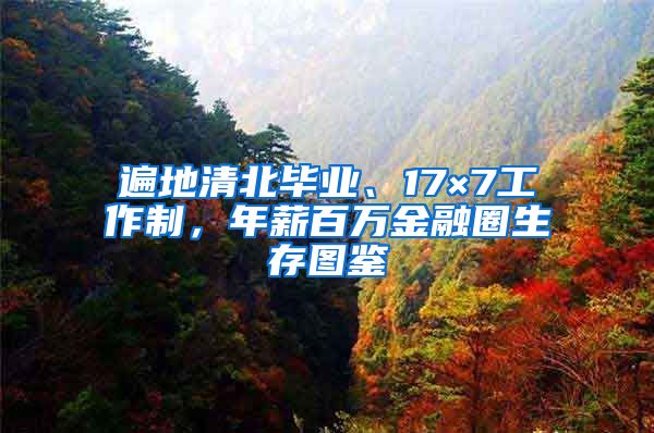 遍地清北毕业、17×7工作制，年薪百万金融圈生存图鉴