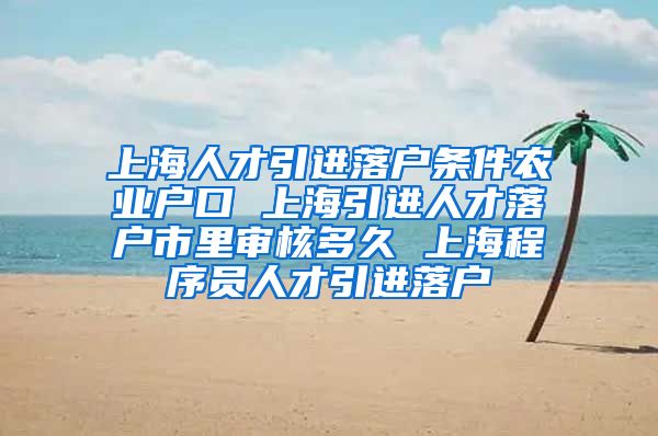 上海人才引进落户条件农业户口 上海引进人才落户市里审核多久 上海程序员人才引进落户