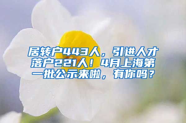 居转户443人，引进人才落户221人！4月上海第一批公示来啦，有你吗？