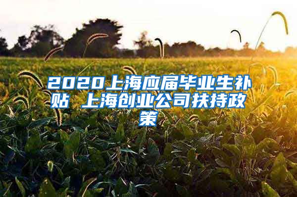 2020上海应届毕业生补贴 上海创业公司扶持政策