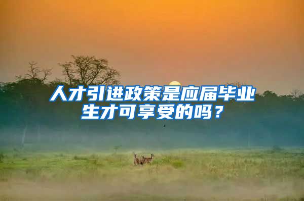 人才引进政策是应届毕业生才可享受的吗？