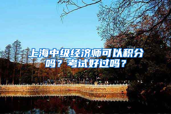 上海中级经济师可以积分吗？考试好过吗？