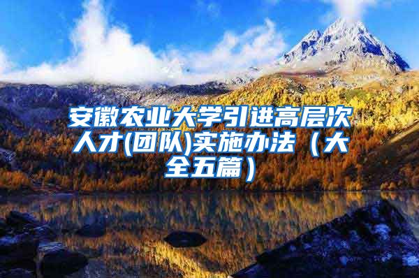 安徽农业大学引进高层次人才(团队)实施办法（大全五篇）