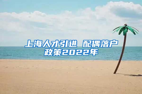 上海人才引进 配偶落户政策2022年