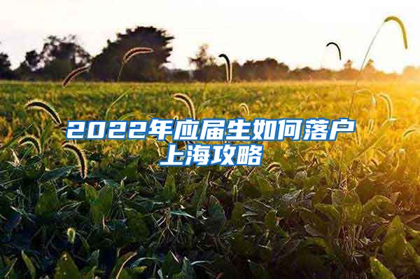 2022年应届生如何落户上海攻略