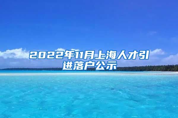 2022年11月上海人才引进落户公示