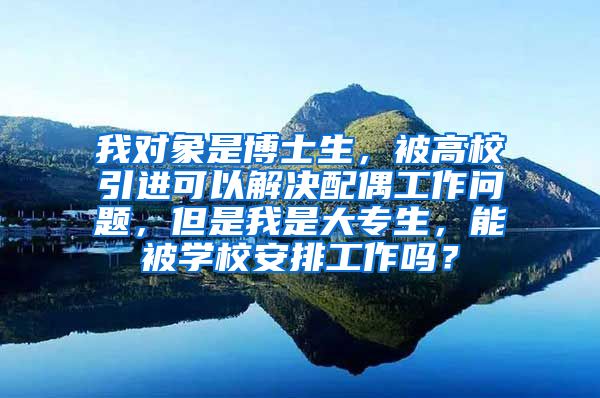 我对象是博士生，被高校引进可以解决配偶工作问题，但是我是大专生，能被学校安排工作吗？