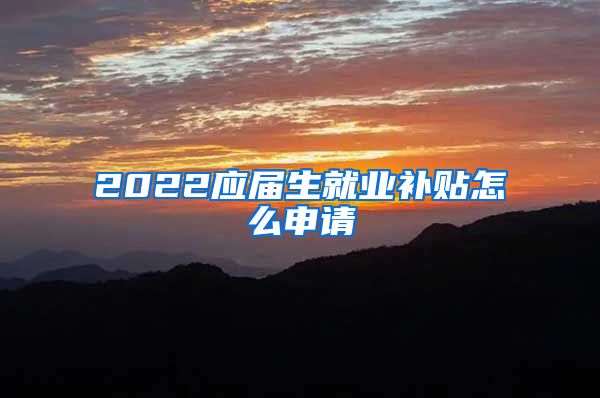 2022应届生就业补贴怎么申请