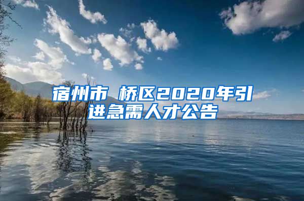 宿州市埇桥区2020年引进急需人才公告