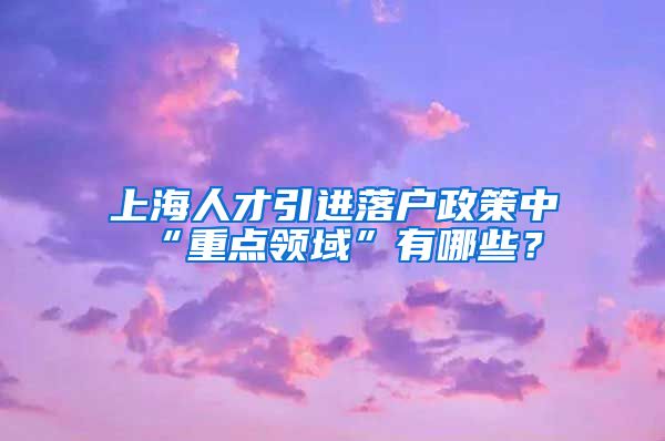 上海人才引进落户政策中“重点领域”有哪些？