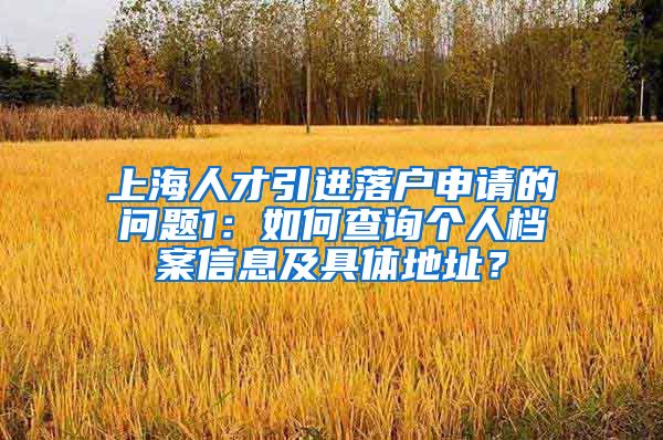 上海人才引进落户申请的问题1：如何查询个人档案信息及具体地址？