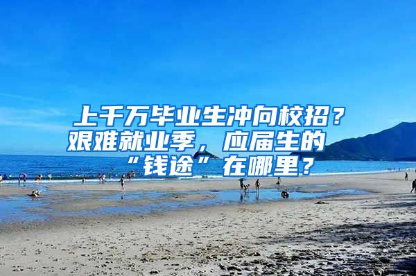 上千万毕业生冲向校招？艰难就业季，应届生的“钱途”在哪里？