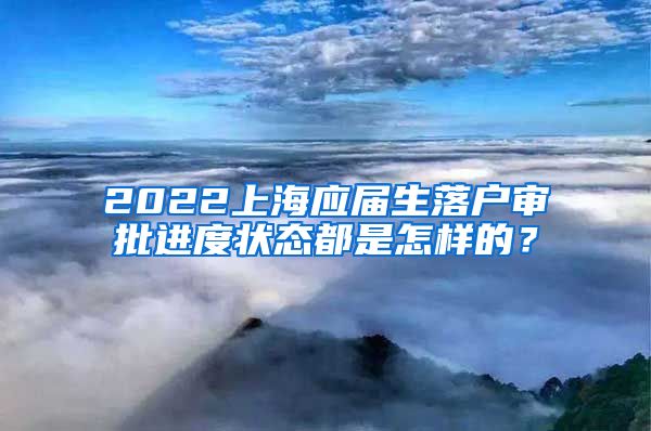 2022上海应届生落户审批进度状态都是怎样的？