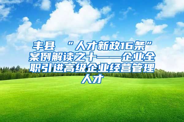 丰县 “人才新政16条”案例解读之十——企业全职引进高级企业经营管理人才