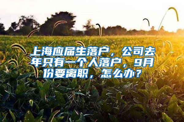 上海应届生落户，公司去年只有一个人落户，9月份要离职，怎么办？