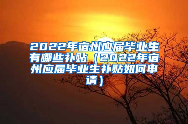 2022年宿州应届毕业生有哪些补贴（2022年宿州应届毕业生补贴如何申请）