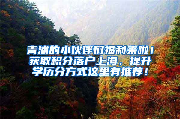 青浦的小伙伴们福利来啦！获取积分落户上海，提升学历分方式这里有推荐！