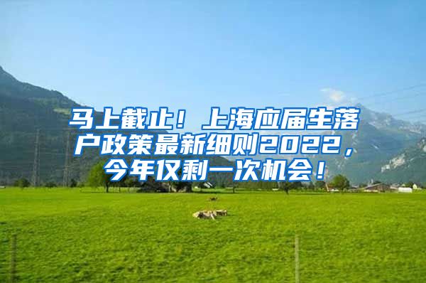 马上截止！上海应届生落户政策最新细则2022，今年仅剩一次机会！