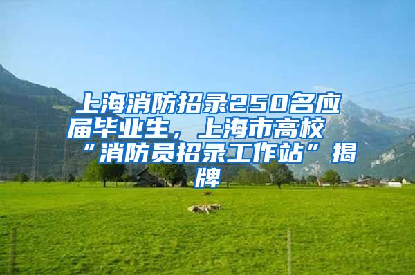 上海消防招录250名应届毕业生，上海市高校“消防员招录工作站”揭牌